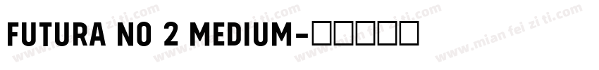Futura No 2 Medium字体转换